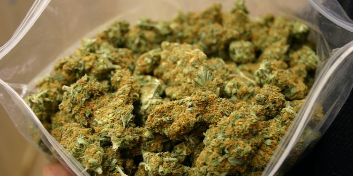 Uncover the Best Picks at a Weed Shop in DC!